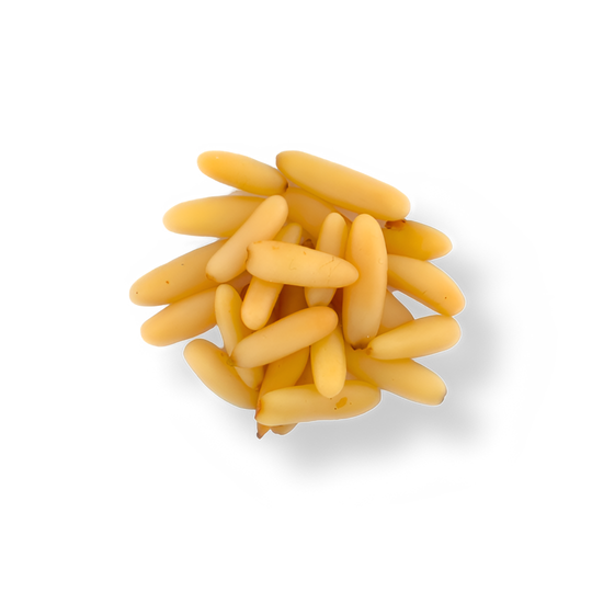 Pine Nuts Kernel