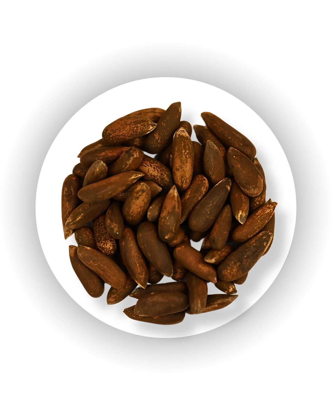 Pine Nut "Jilgoza" - With Shell