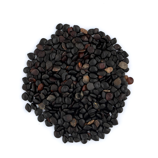 Chive Seeds - Tukhom Gandana