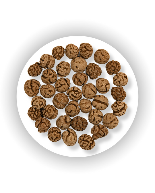 Cocoa Chicpeas